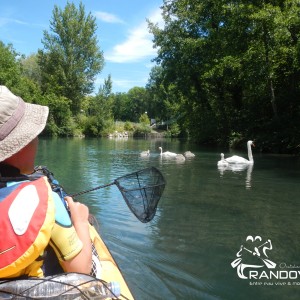 TOPO – Le Canal de Savière – 6 à 12Km