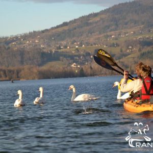 TOPO Lac d’Aiguebelette – Le Tour du Lac – 14Km