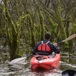 TOPO Ruisseau Les Rousses – Luyrieu à Pont d’Aignoz – 4 Km