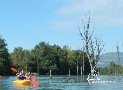 9 Nov 2020 – RECO Canoë-Kayak en Rhône-Alpes