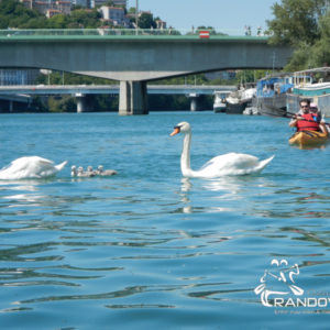 TOPO Le Rhône – Genève à Lyon – 200 Km