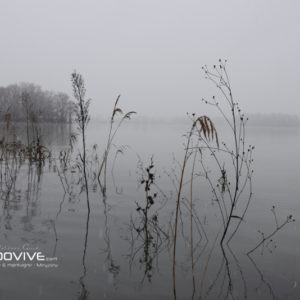 TOPO Lac des Eaux Bleues – Grand Parc de Miribel – 8Km